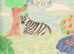 zebra_colored_pencil.jpg