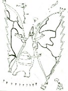 dragon_one-head-pencil-TN.jpg