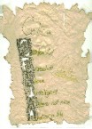 CELINA_acronym-ink-TN.jpg