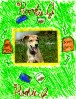 Rookie_J_foto-crayon-TN.jpg