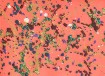 abstract_paint-drops-TN.jpg