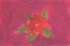 poinsettia_pastels-TN.jpg